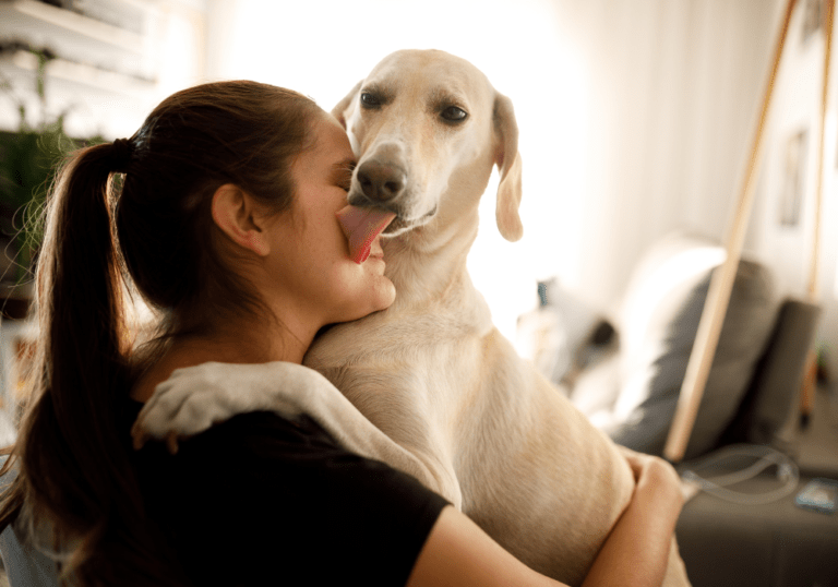 A woman hugging a light-colored dog while it licks her face, illustrating the article on zoonotic diseases and whether pets can transmit blood infections to humans.