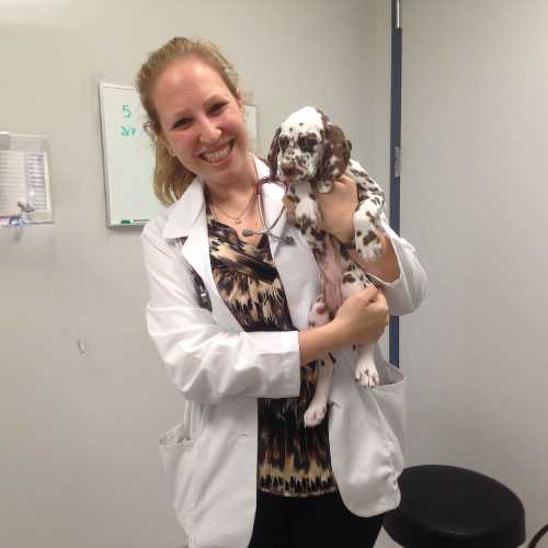 Dr. Emily Shani, DVM, Associate Veterinarian at Willow Glen Pet Hospital in San Jose, CA