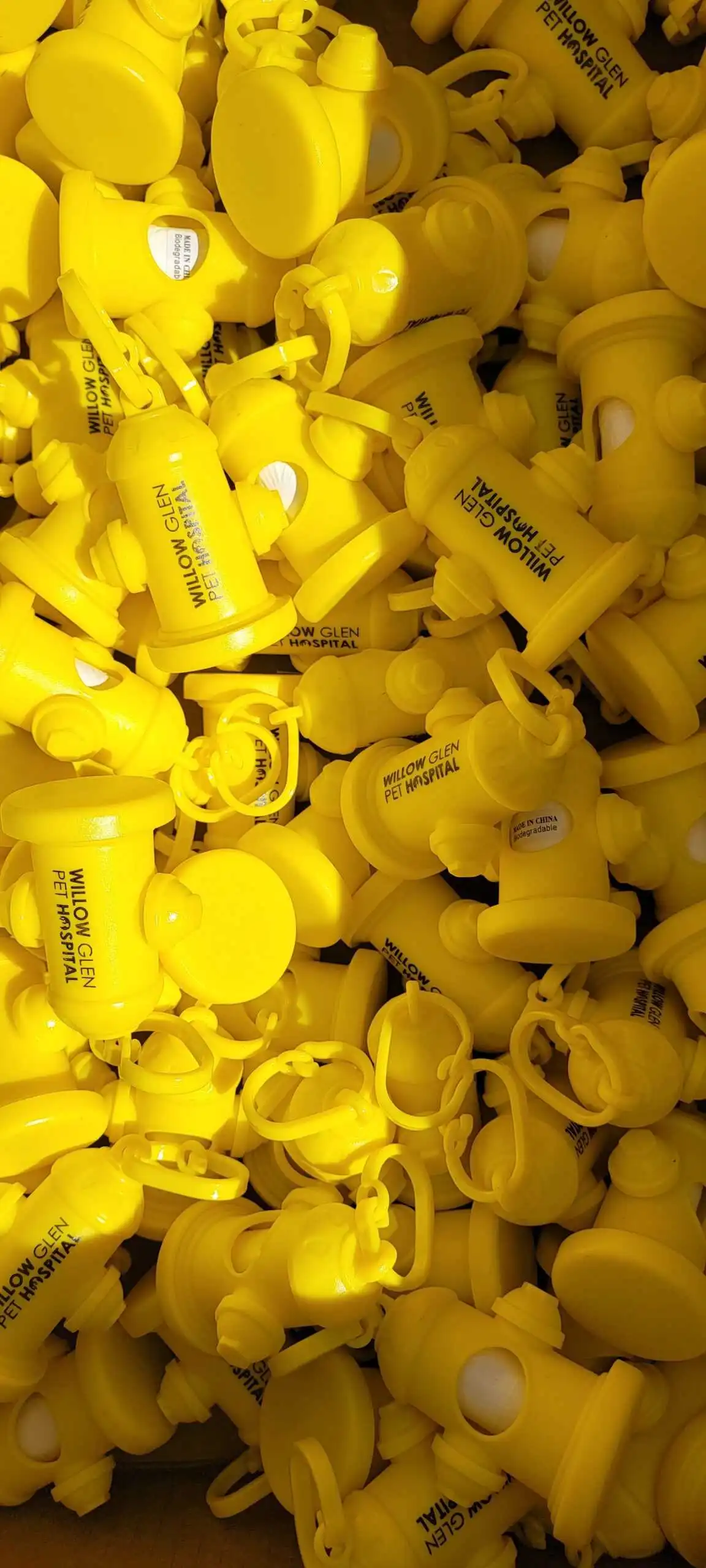 Happy dog after a vet visit in San Jose