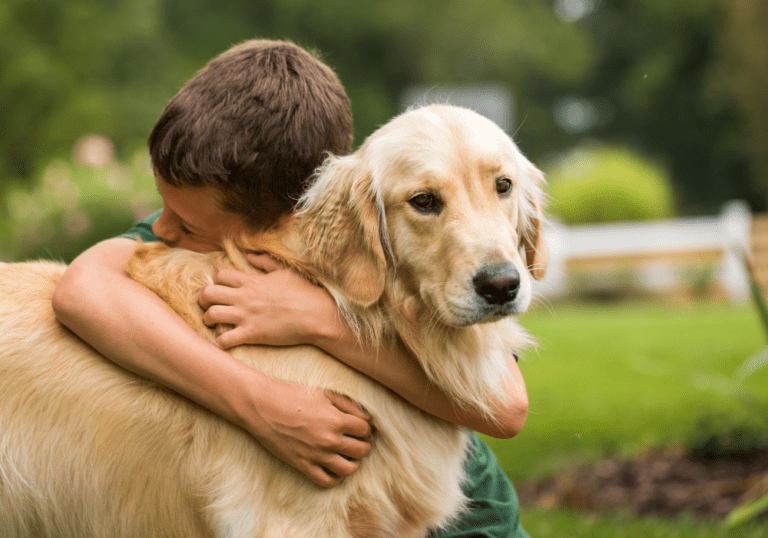 A young boy affectionately hugging a calm Golden Retriever outdoors, demonstrating the strong emotional bond and the benefits of pet therapy for children.