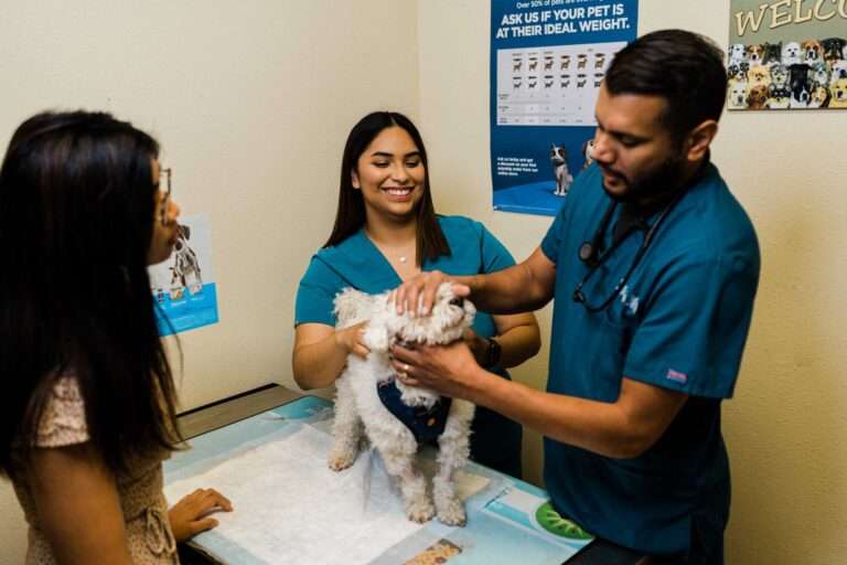 Dr. Rajvir Gillon and a vet tech consulting with a pet owner about a small white dog's health, representing the importance of vaccination and prevention of leptospirosis.